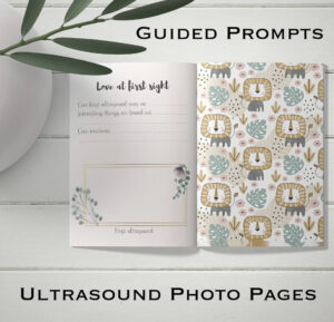 Pregnancy Journal