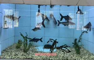 Best Tourist Places in Guwahati City