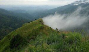 Top Camping Sites in Dandeli